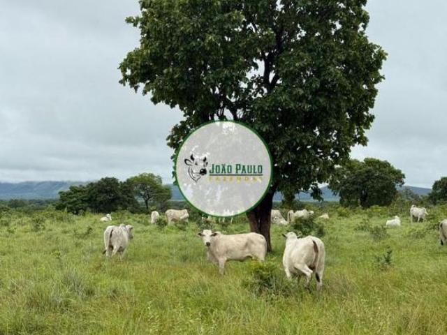 Sítio e chácara venda em Região Geográfica Imediata de Águas Lindas de Goiás, Região Integrada de Desenvolvimento do Distrito Federal e Entorno