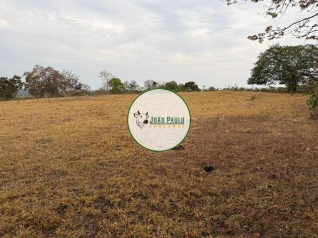 Sítio e chácara venda em Região Geográfica Imediata de Águas Lindas de Goiás, Região Integrada de Desenvolvimento do Distrito Federal e Entorno