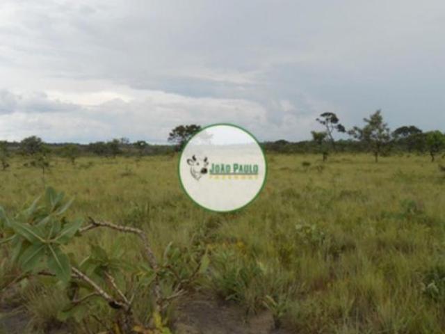 Sítio e chácara venda em Região Geográfica Imediata de Águas Lindas de Goiás, Região Integrada de Desenvolvimento do Distrito Federal e Entorno