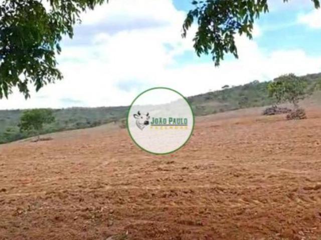 Sítio e chácara venda em Região Geográfica Imediata de Unaí, Formoso