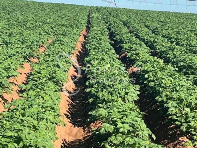Sítio e chácara venda em Região Imediata de Franca, Juranda