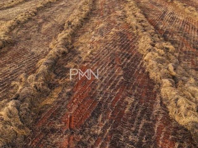 Sítio e chácara venda em General Carneiro, Região Geográfica Intermediária de Barra do Garças