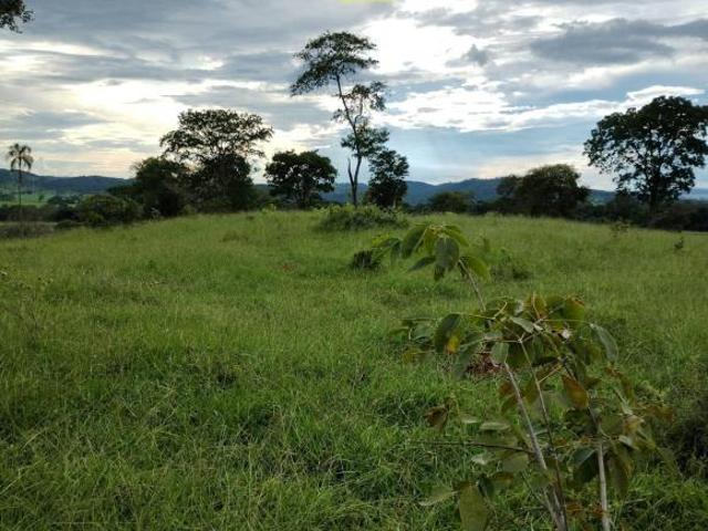 Sítio e chácara venda em Região Geográfica Imediata de Goiânia, Goianira