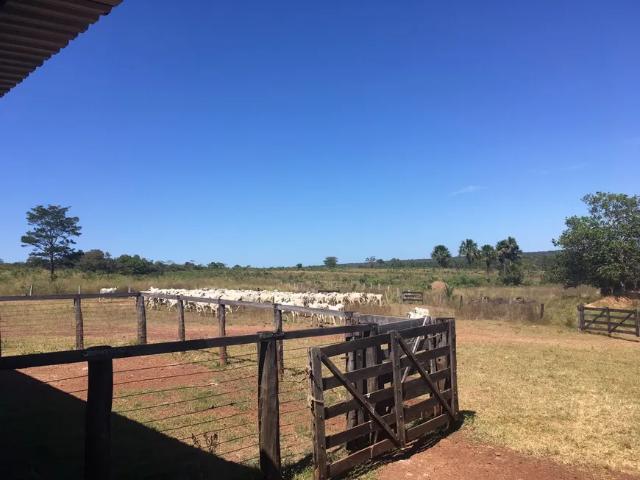 Fazenda venda em Região Geográfica Imediata de Araguaína, Goiatins