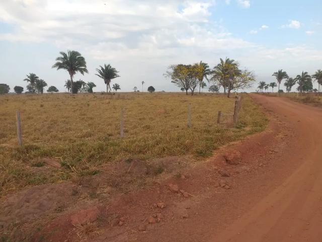 Fazenda venda em Região Geográfica Imediata de Araguaína, Goiatins