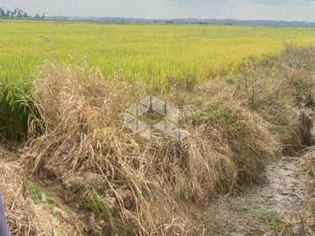 Sítio e chácara venda em Região Geográfica Imediata de Goiás - Itapuranga, Nova Crixás