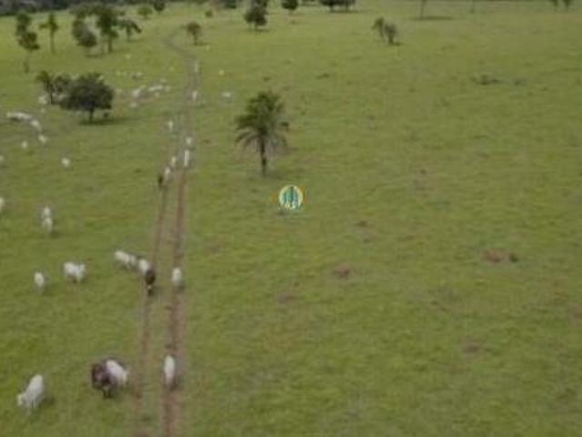 Sítio e chácara venda em Região Geográfica Imediata de Goiânia, Guapó
