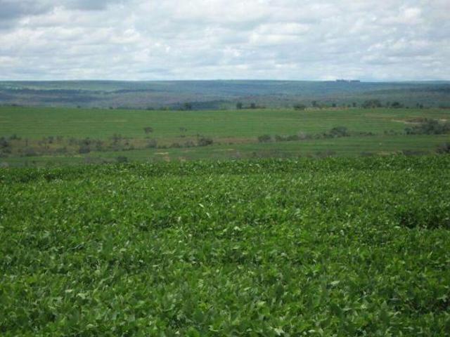 Sítio e chácara venda em Região Geográfica Imediata de Rondonópolis, Guiratinga