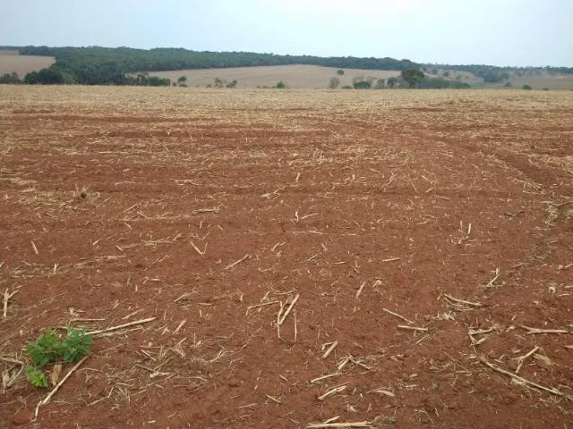 Fazenda venda em Região Geográfica Imediata de Catalão, Ipameri
