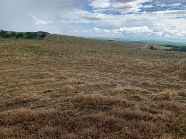 Fazenda venda em Região Geográfica Imediata de Catalão, Ipameri