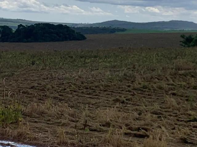 Fazenda venda em Região Geográfica Imediata de Catalão, Ipameri