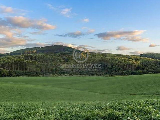 Sítio e chácara venda em Região Geográfica Imediata de Pouso Alegre, Ipuiúna