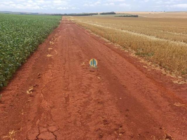 Sítio e chácara venda em Região Imediata de Itapeva, Itaberá
