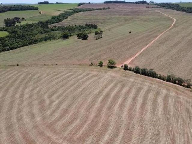Sítio e chácara venda em Região Imediata de Avaré, Itaí