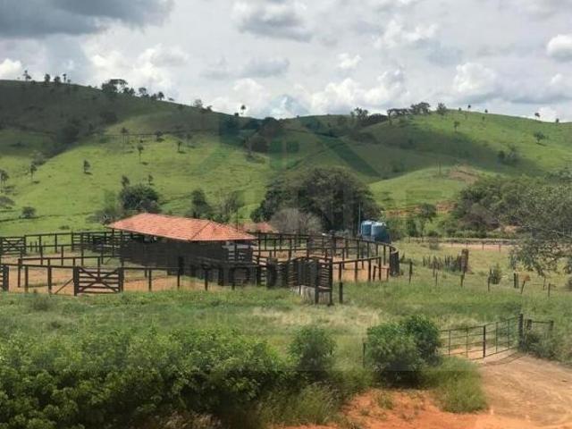 Sítio e chácara venda em Região Imediata de Mogi Guaçu, Itapira