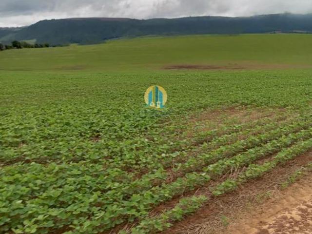Sítio e chácara venda em Região Geográfica Imediata de Ivaiporã, Ivaiporã