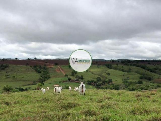 Sítio e chácara venda em Região Geográfica Imediata de São Luís de Montes Belos, Ivolândia