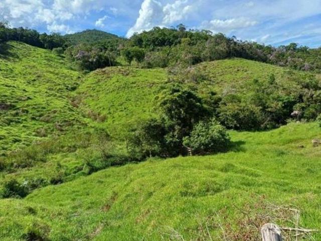 Sítio e chácara venda em Jacupiranga