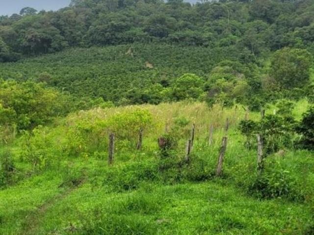 Sítio e chácara venda em Jacutinga, Região Geográfica Intermediária de Pouso Alegre