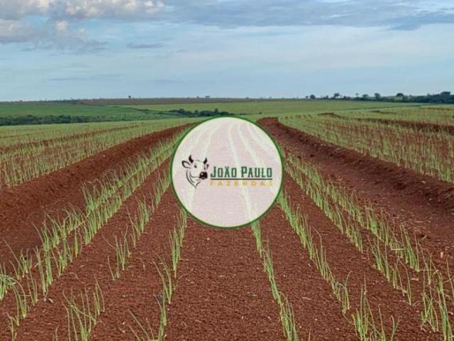 Sítio e chácara venda em Jequitaí, Região Geográfica Intermediária de Montes Claros