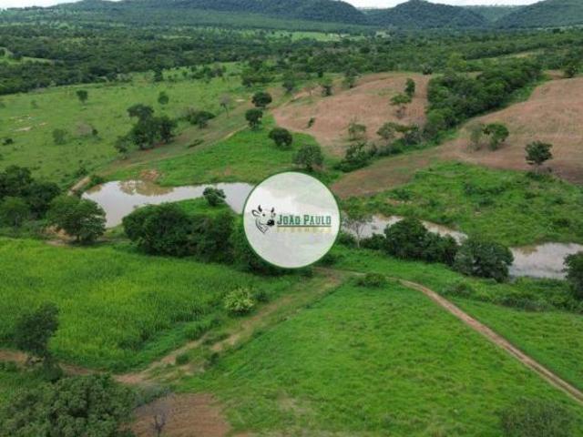 Sítio e chácara venda em João Pinheiro