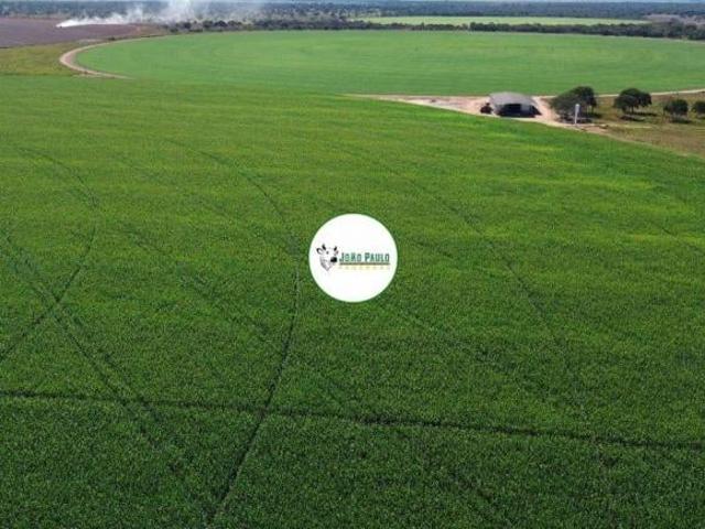 Sítio e chácara venda em Região Geográfica Imediata de Patos de Minas, João Pinheiro