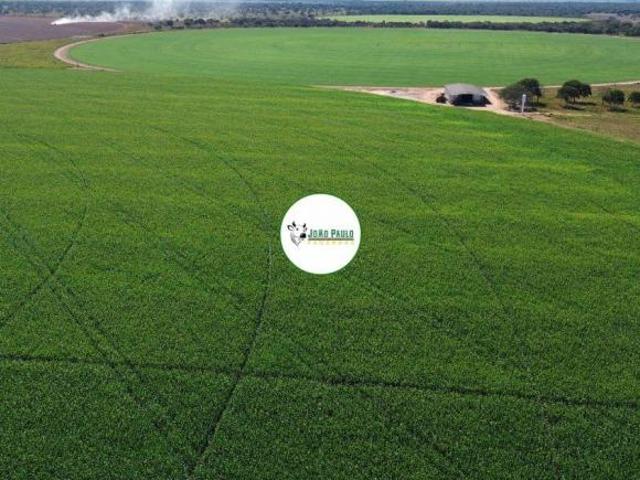 Sítio e chácara venda em Região Geográfica Imediata de Patos de Minas, João Pinheiro