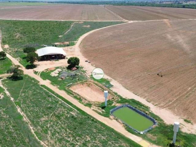 Sítio e chácara venda em Região Geográfica Imediata de Patos de Minas, João Pinheiro