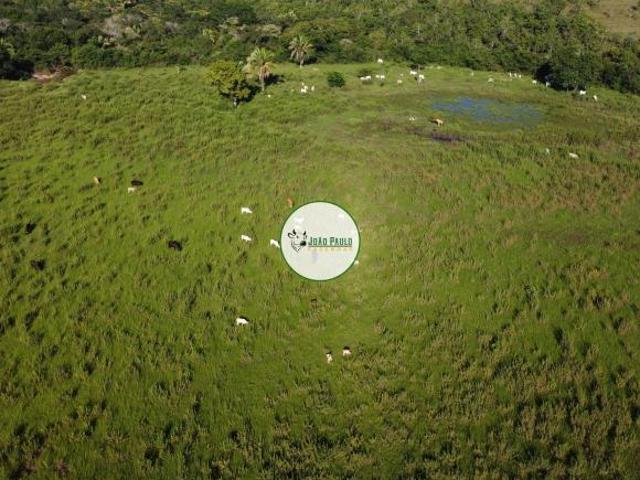 Sítio e chácara venda em Região Geográfica Imediata de Patos de Minas, João Pinheiro