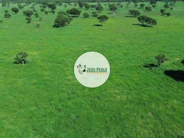 Sítio e chácara venda em Região Geográfica Imediata de Patos de Minas, João Pinheiro