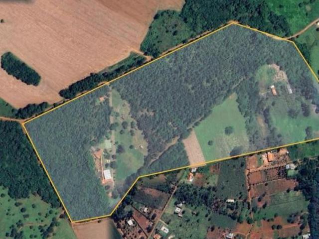 Sítio e chácara venda em Região Geográfica Imediata de Anápolis, Anápolis