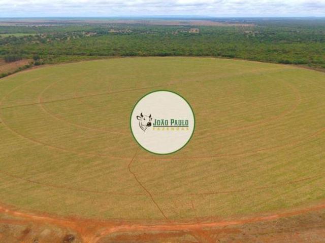Sítio e chácara venda em João Pinheiro