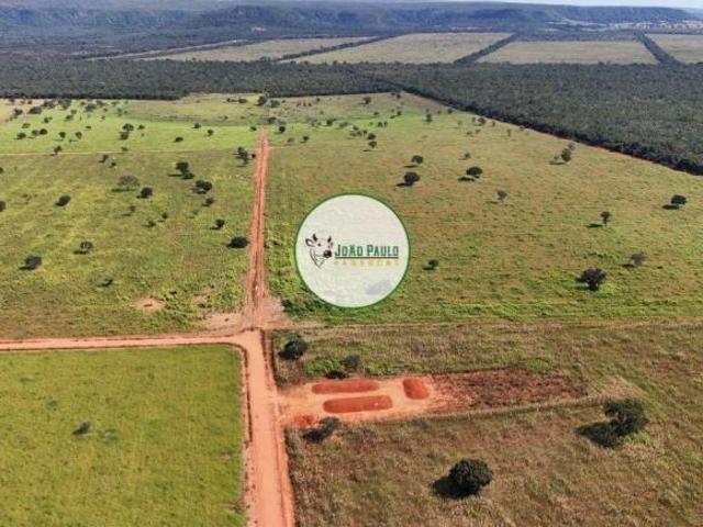 Sítio e chácara venda em João Pinheiro