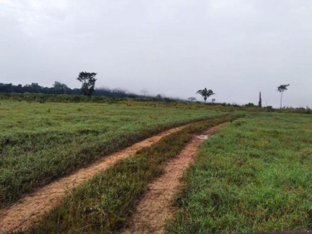 Sítio e chácara venda em Região Geográfica Imediata de Juara, Juara