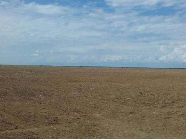 Sítio e chácara venda em Região Geográfica Imediata de Juara, Juara