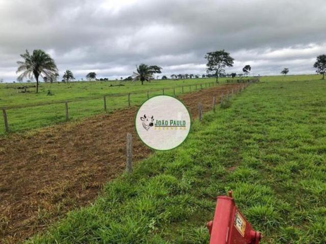 Sítio e chácara venda em Região Geográfica Imediata de Juína, Juína
