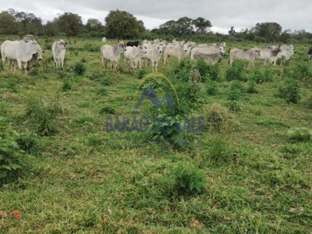 Sítio e chácara venda em Região Imediata de Registro, Juquia