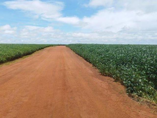 Sítio e chácara venda em Região Geográfica Imediata de Jaciara, Juscimeira