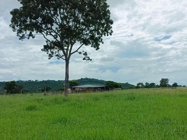 Sítio e chácara venda em Região Geográfica Imediata de Goiás - Itapuranga, Jussara