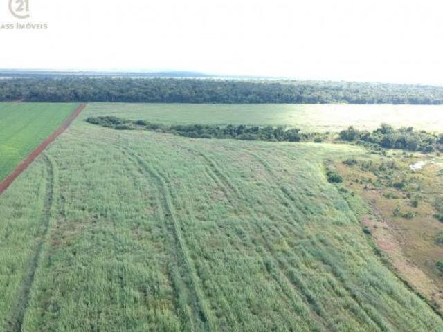 Sítio e chácara venda em Região Geográfica Imediata de Cornélio Procópio-Bandeirantes, Leópolis