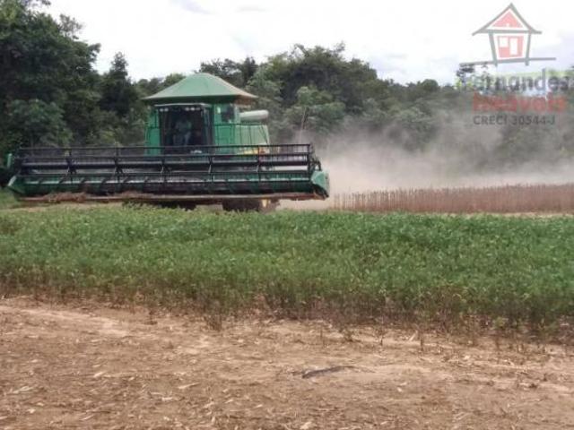 Sítio e chácara venda em Pioneiro, Lucas do Rio Verde