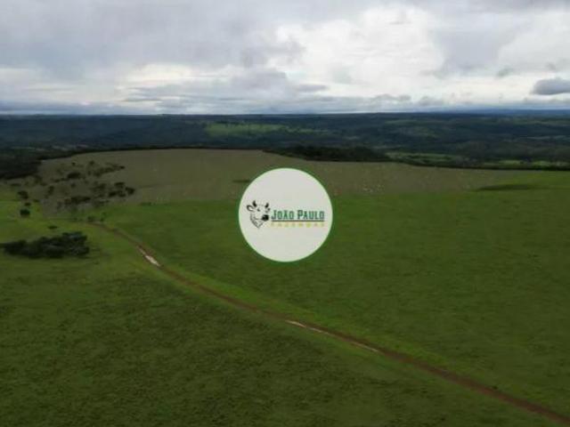 Sítio e chácara venda em Região Geográfica Imediata de Luziânia, Região Integrada de Desenvolvimento do Distrito Federal e Entorno
