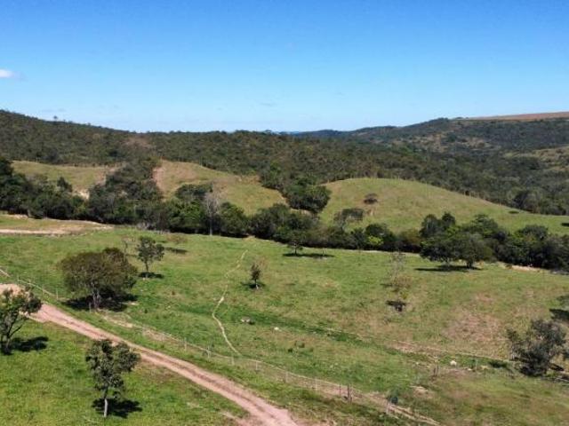 Sítio e chácara venda em Região Geográfica Imediata de Luziânia, Região Integrada de Desenvolvimento do Distrito Federal e Entorno