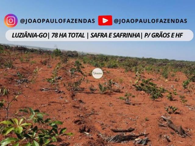 Sítio e chácara venda em Região Geográfica Imediata de Luziânia, Região Integrada de Desenvolvimento do Distrito Federal e Entorno