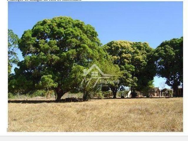 Sítio e chácara venda em Região Geográfica Imediata de Confresa - Vila Rica, Luciara