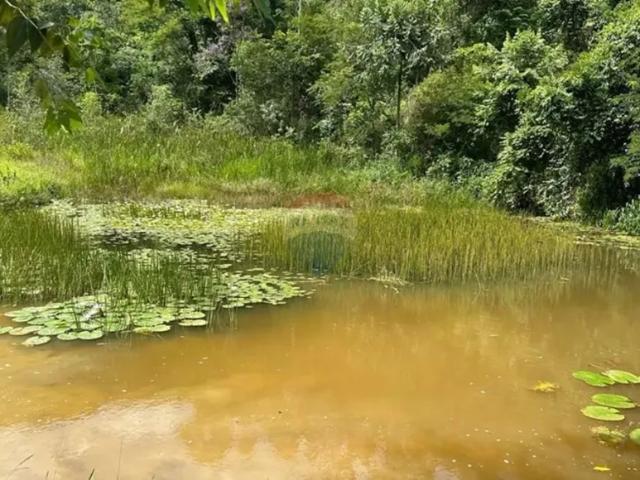 Fazenda venda em Região Geográfica Imediata de Ubá, Mercês