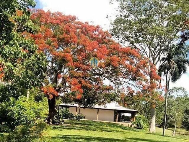 Sitio venda em Miranda, Miranda