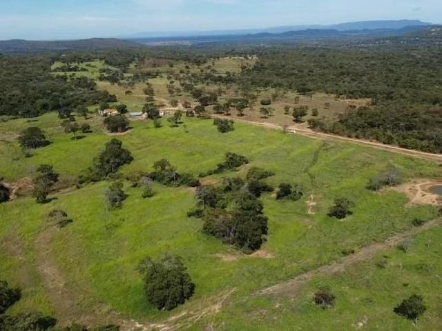 Sítio e chácara venda em Região Geográfica Imediata de Posse-Campos Belos, Monte Alegre de Goiás
