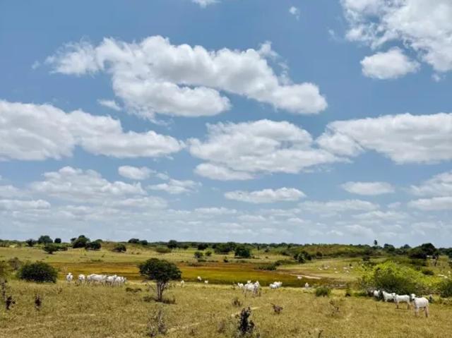 Fazenda venda em Região Geográfica Imediata de Currais Novos, Cerro Corá