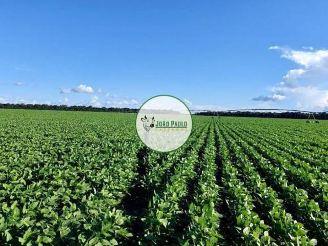 Sítio e chácara venda em Região Geográfica Imediata de Iporá, Montes Claros de Goiás